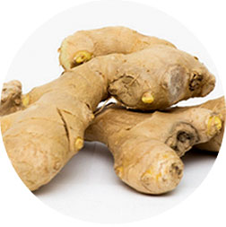Ginger Oil Extract