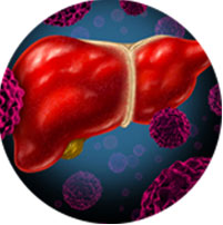 Liver & Kidney Problems