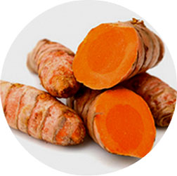 Curcumin Extract