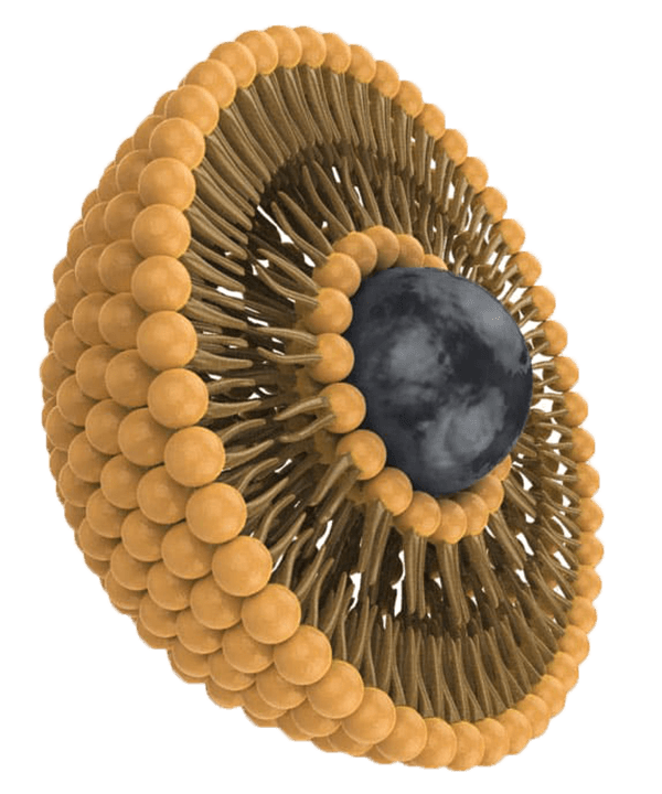 Micelle Liposomal