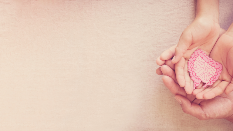 Gut Health and Estrogen: What’s the Connection?